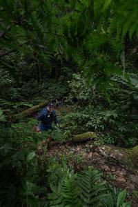 BIB: 
                            <button type="button" onclick="openModal(16029691)" class="btn btn-primary btn-sm float-right btn-popup" data-toggle="modal" data-target=".modal-high-quality">
                        <i class="fas fa-shopping-cart"></i> Add to Cart
                    </button>
                                            <button type="button" onclick="isThisMe(16029691, true)" class="btn btn-success btn-sm float-right btn-popup btn-isme hidden" data-toggle="tooltip" data-placement="bottom" title="นี่คือรูปของคุณใช่ไหม คลิกที่นี่เพื่อเอาเข้าอัลบั้ม">
                        <i class="fas fa-plus"></i> Add to album
                    </button>
                    <button type="button" onclick="isThisMe(16029691, false)" class="btn btn-warning btn-sm float-right btn-popup btn-isnotme hidden">
                        <i class="fas fa-ban"></i> Remove from album
                    </button>